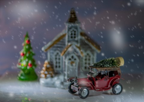 Photo by Home for the Holidays