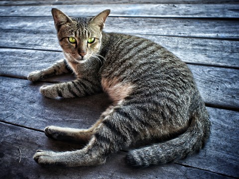 Photo by By standing on the Shoulders of Giants