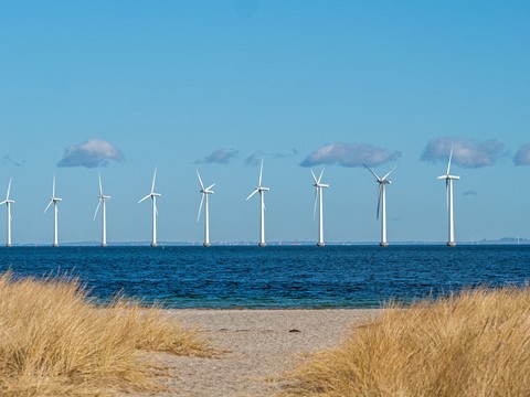 Photo by Jorgen K H Knudsen