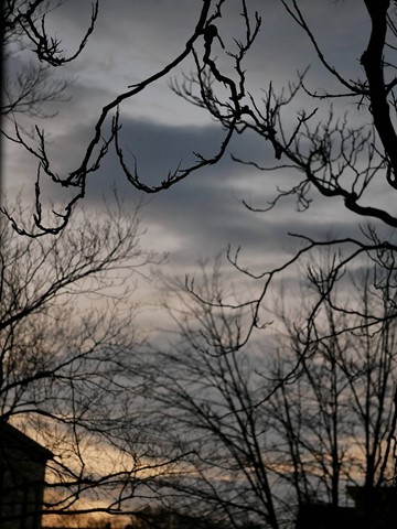 Photo by Tim Reidy Productions