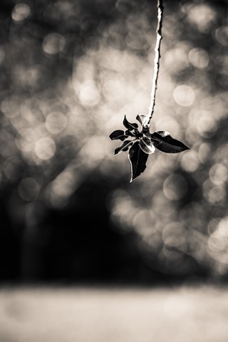 Photo by themountainphotographer