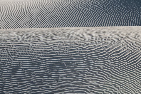 Photo by MFranko_734