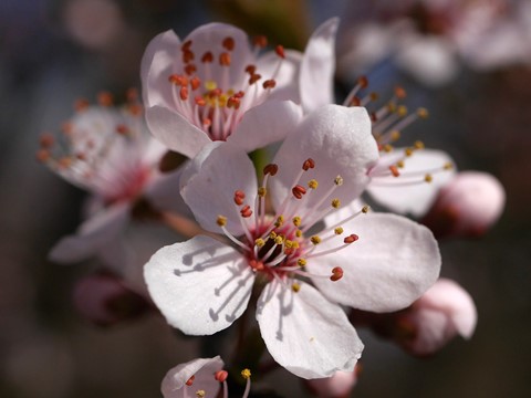 Photo by Spring Anouncement