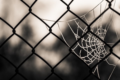 Photo by themountainphotographer