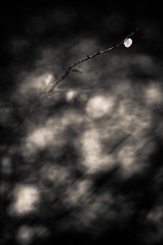 Photo by themountainphotographer