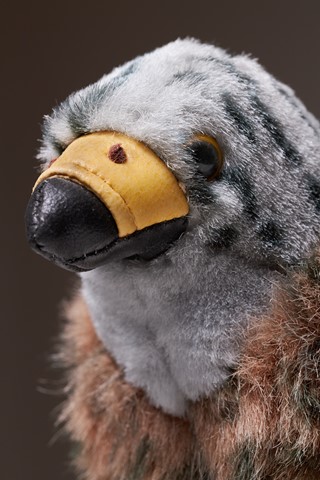 Photo by catastrophe