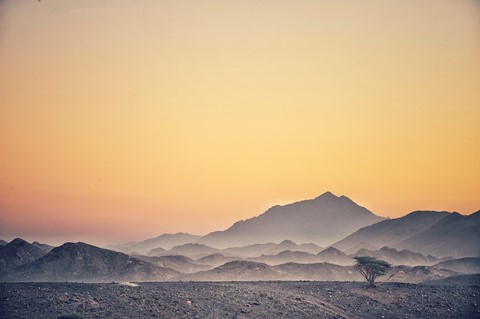 Photo by Shahul Khalid