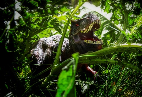 Photo by jonestheroad