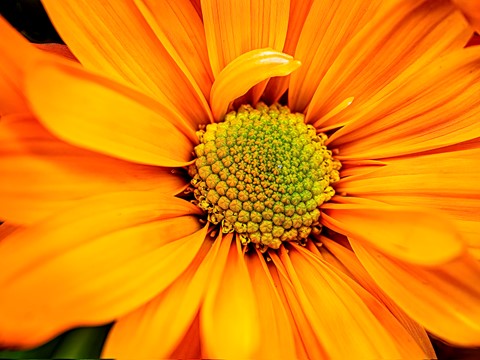 Photo by YELLOW DAISY