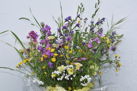 Photo by Saben Dirre