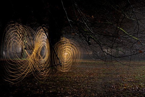 Photo by Frank van Eck