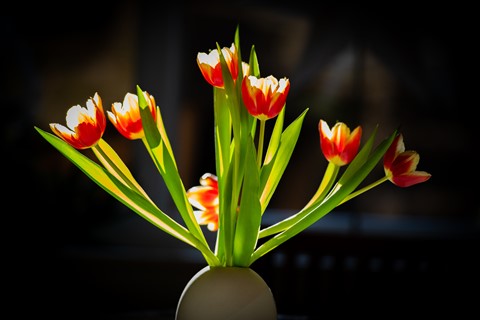 Photo by hectorpatrick