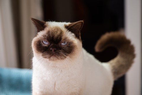 Photo by themountainphotographer