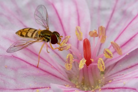 Photo by mreservices