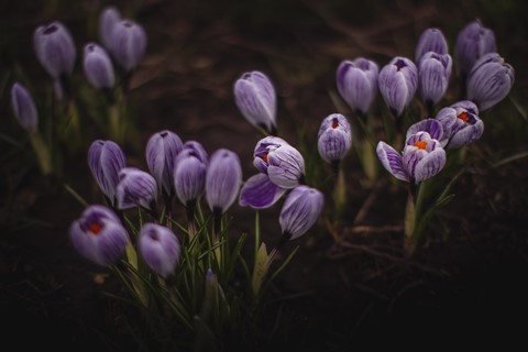 Photo by Andrea Verenini