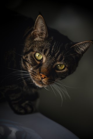 Photo by Andrea Verenini