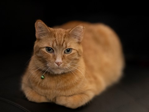 Photo by Maggie May1978