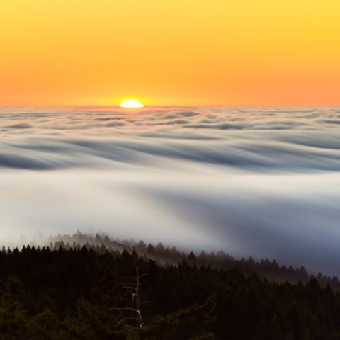Photo by Mt Tamalpais Sunset