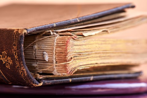 Photo by Saben Dirre