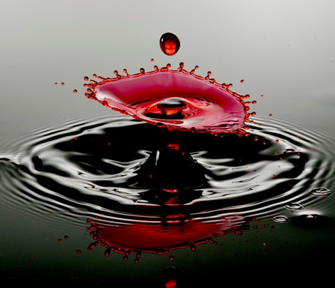 Photo by User8712594820