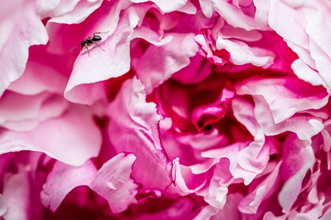 Photo by Teacher_Mowse