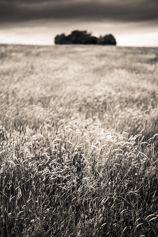 Photo by themountainphotographer