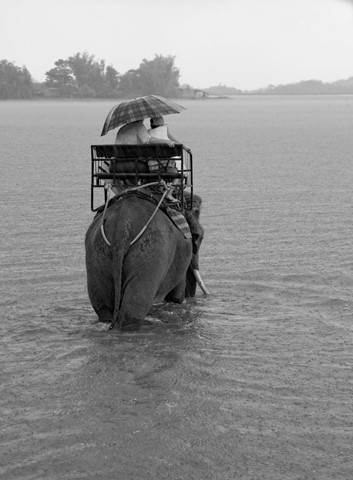 Photo by manishtushu