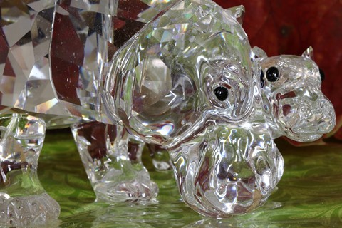 Photo by manishtushu