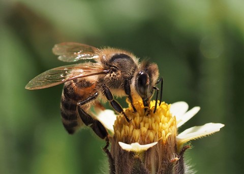 Photo by Close encounter