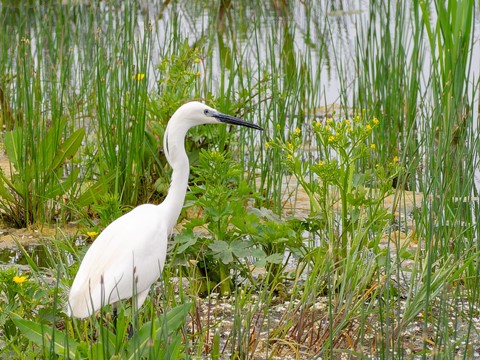 Photo by ursamajorRO