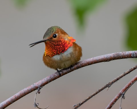 Photo by BouncingCzech