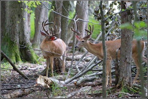 Photo by tim and jan