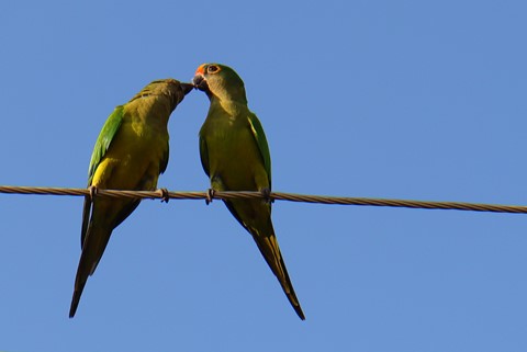 Photo by Love is in the air