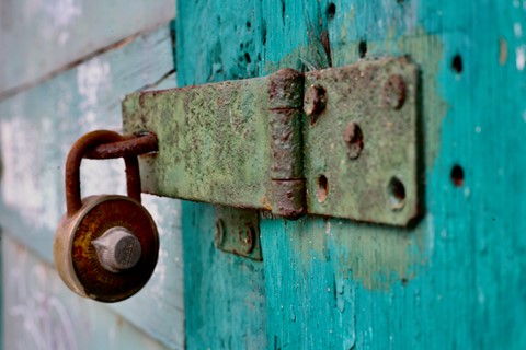 Photo by Colin Johnston