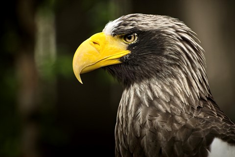 Photo by mreservices