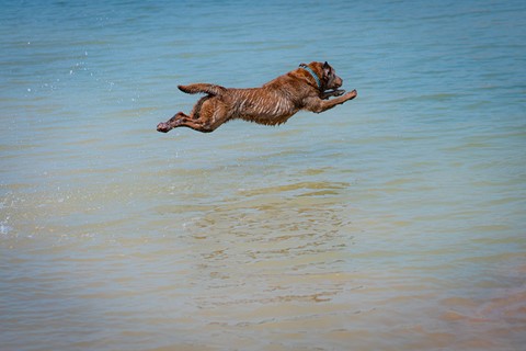 Photo by Richard Carande