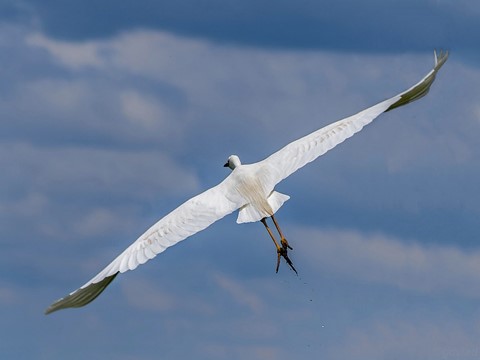 Photo by ursamajorRO