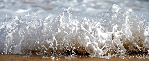 Photo by Paul S Churcher