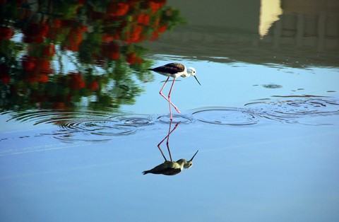 Photo by Nilesh Trivedi