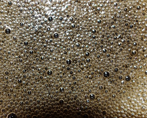 Photo by Tim Reidy Productions