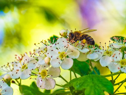 Photo by ursamajorRO