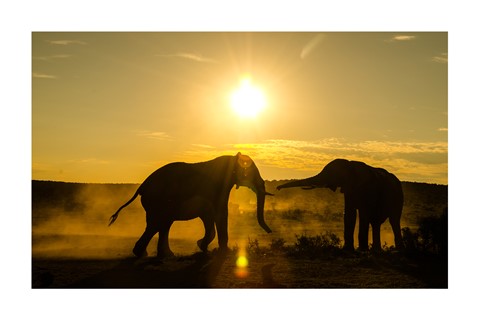 Photo by Evan Rothman