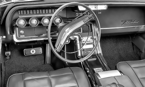 Photo by Mitchmeister