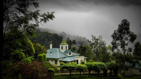 Photo by shutterbug3045