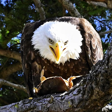 Photo by itsallBb2me