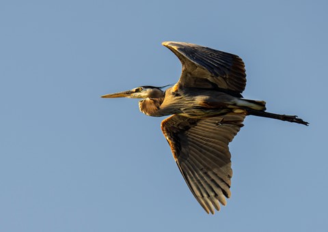 Photo by Ather Mehboob