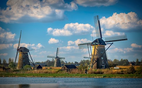 Photo by Mitchmeister