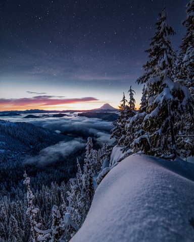 Photo by William Frohne