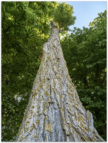 Photo by EnglishSteve