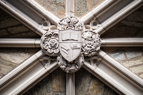 Photo by johncecilian